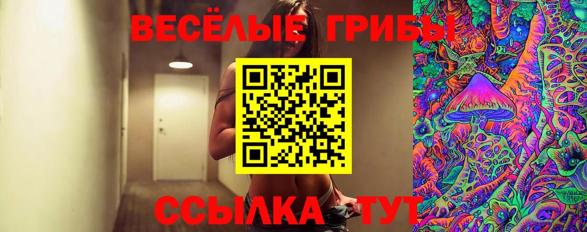 Псилоцибиновые грибы ЛСД Белая Калитва